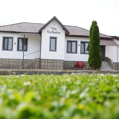 Vila Exclusive Тыргу-Жиу Экстерьер фото
